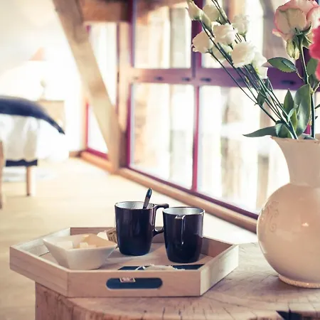 Domaine De Vermoise 4*