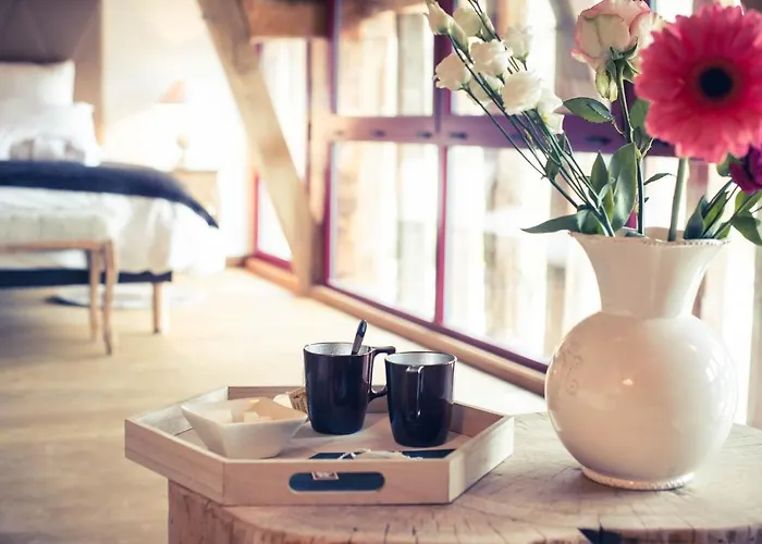 Domaine De Vermoise 4*